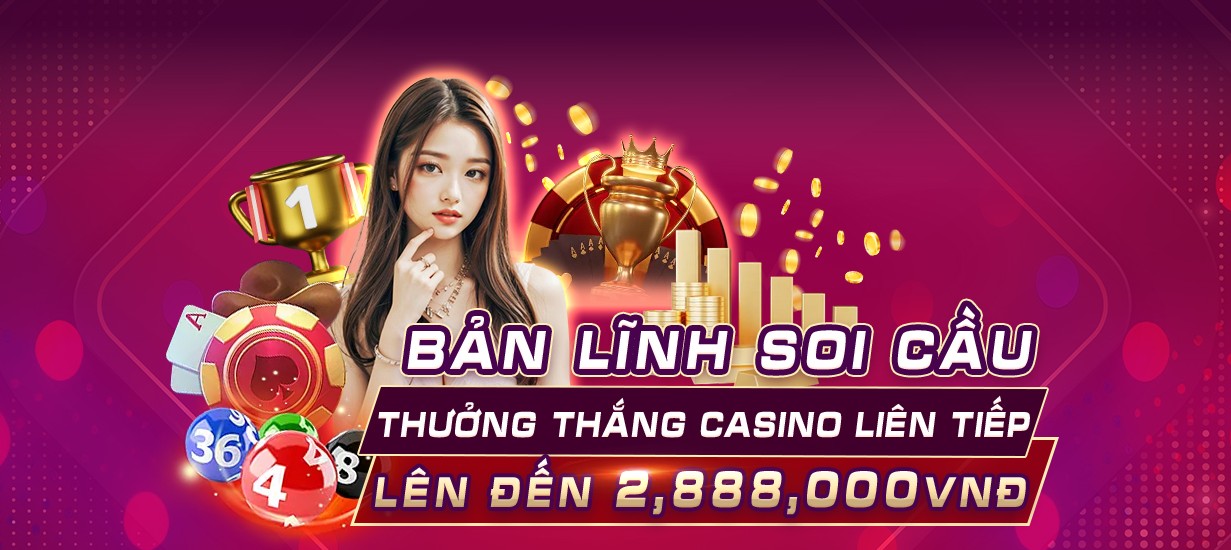 vn8